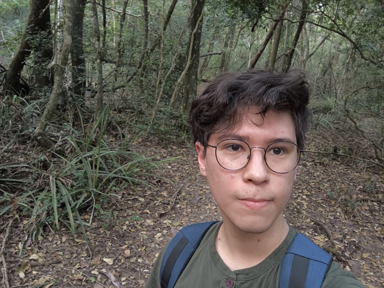 Colaborador